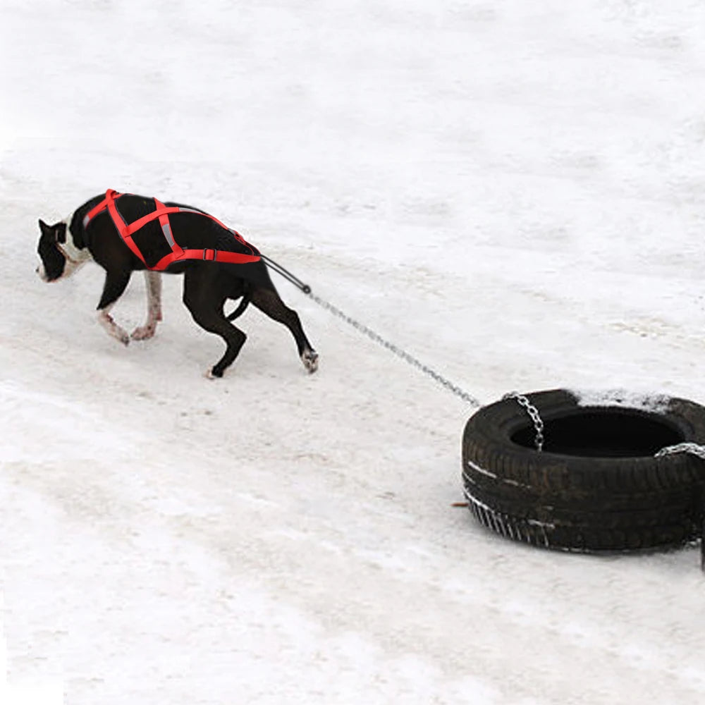 Dog Sled Pulling Harness