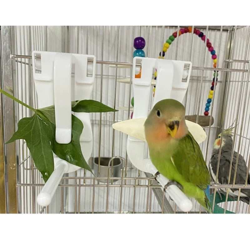 Parrot Feeding Fruit Vegtable Clip