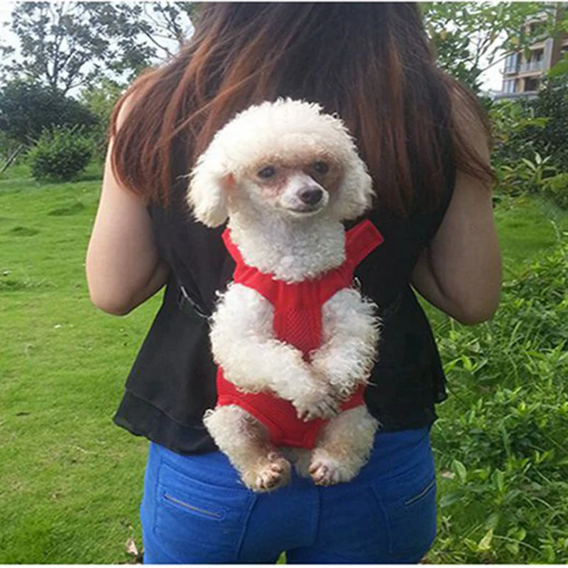 Luxury Backpacks Carrying Small Pet