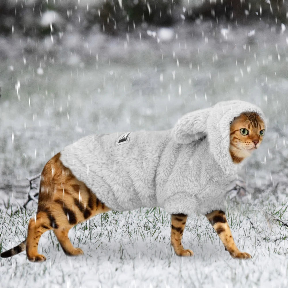 Warm Cat Clothes For Winter