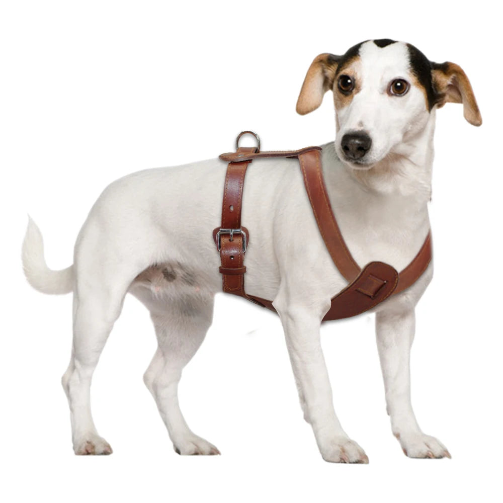 Brown Leather Adjustable Straps for Dog