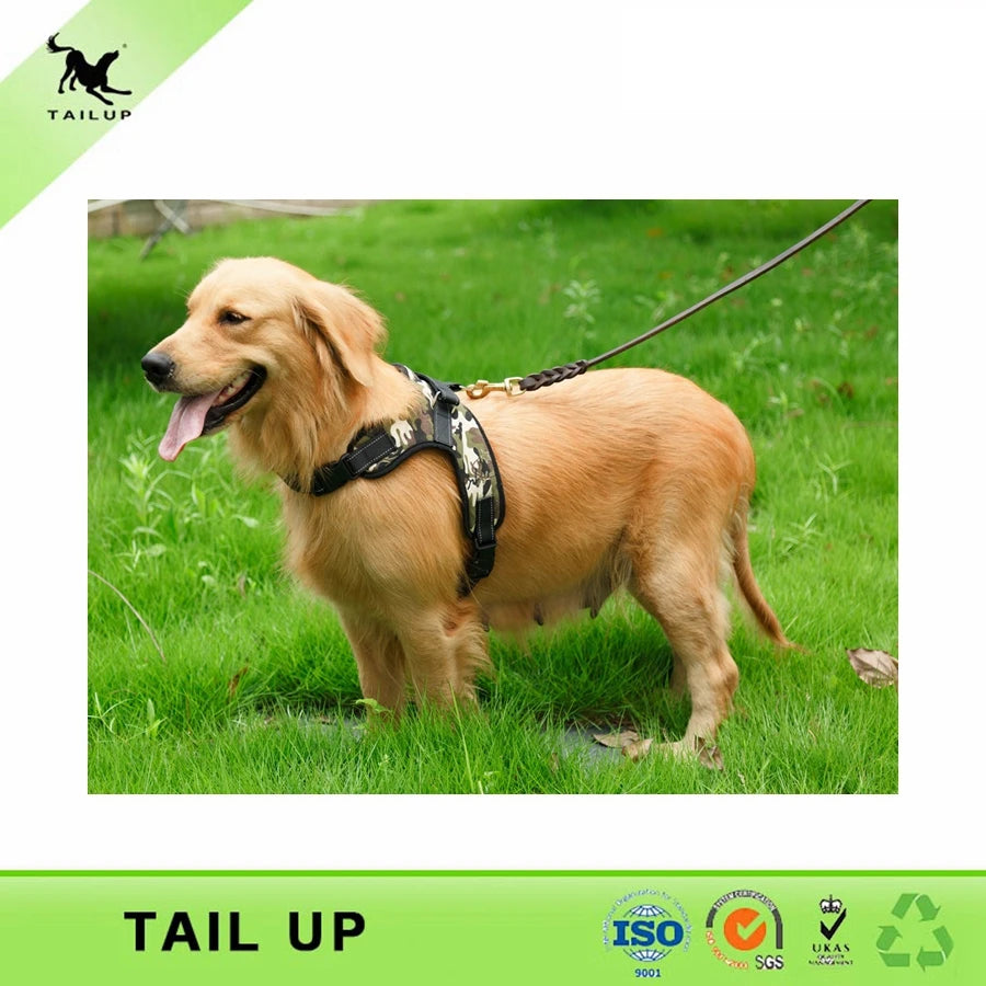 Dog Leads For Walking Reflective Strap