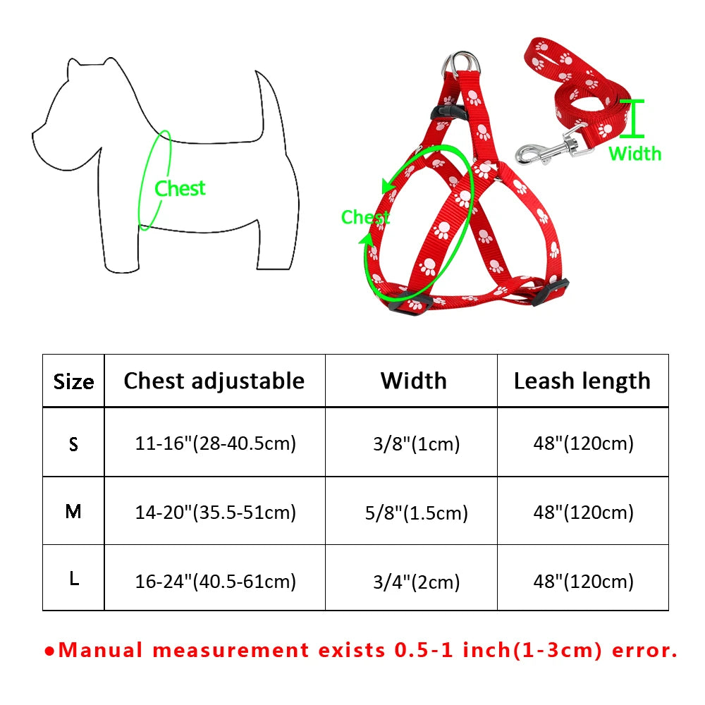 Nylon Dog Harness and Leash Set