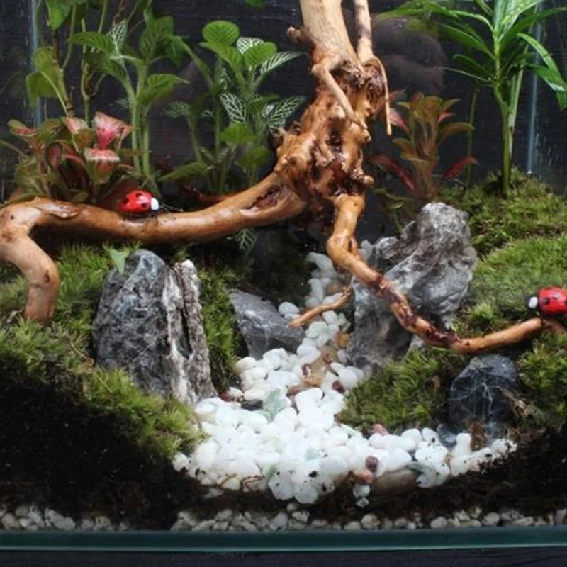 Wood Decoration Ornament Accessory Aquarium Plants