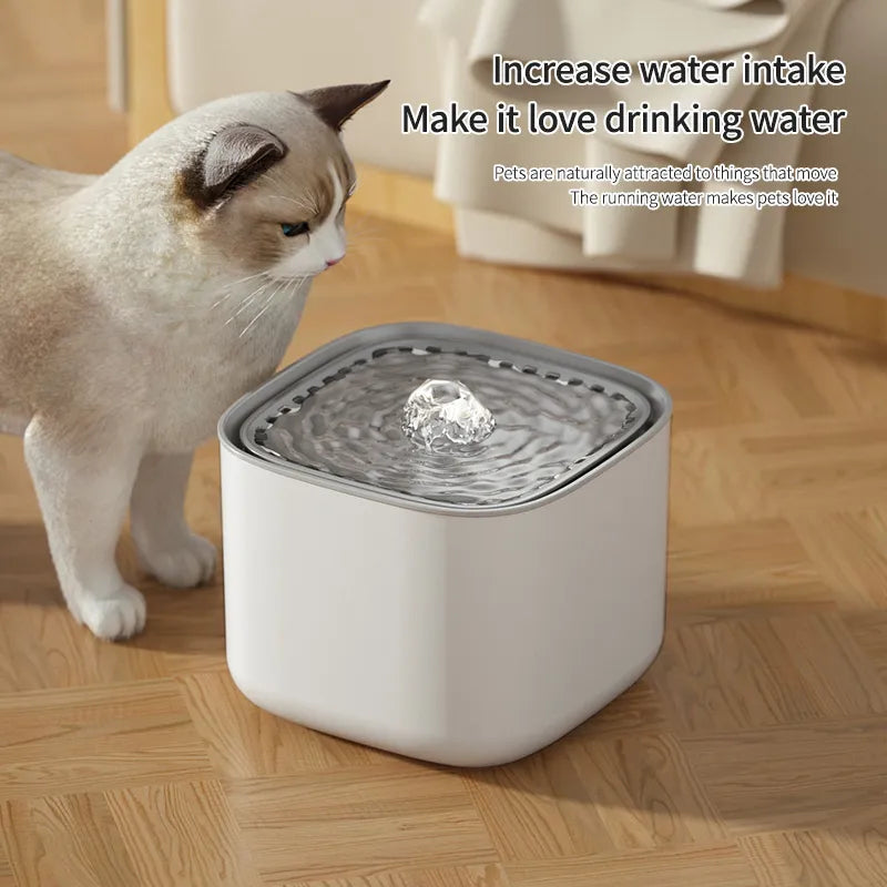 Auto Recirculate Water Filter for Cat