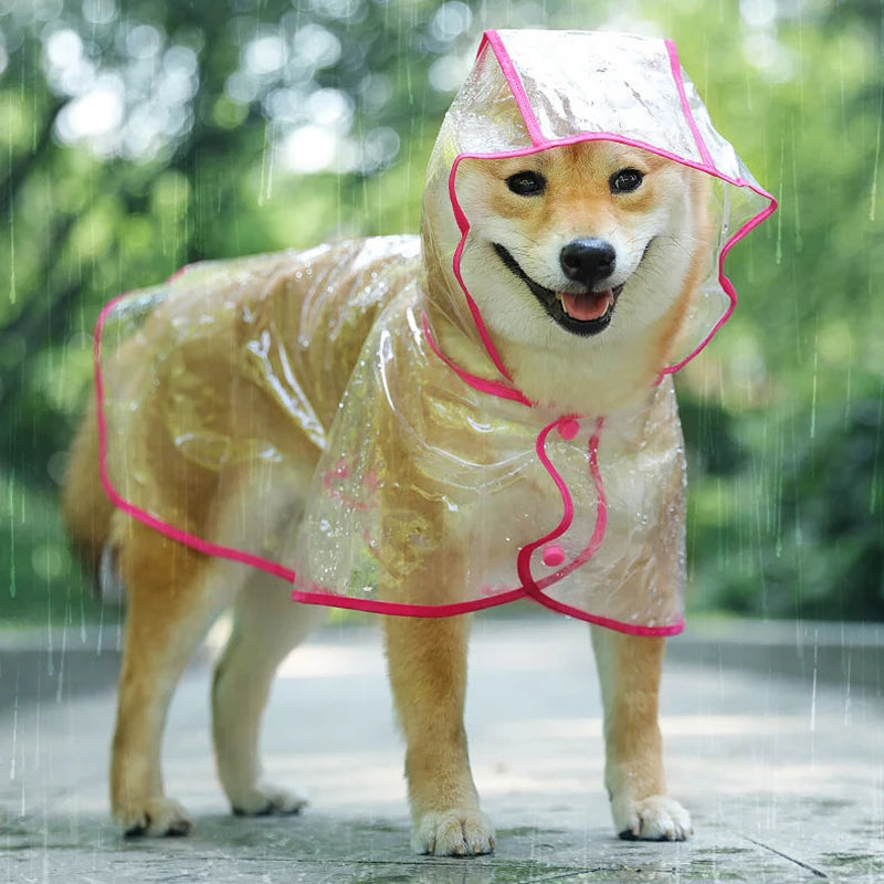 Pet Transparent Raincoat
