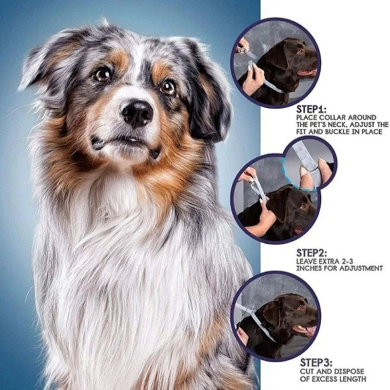 Protection Retractable Pet Collars