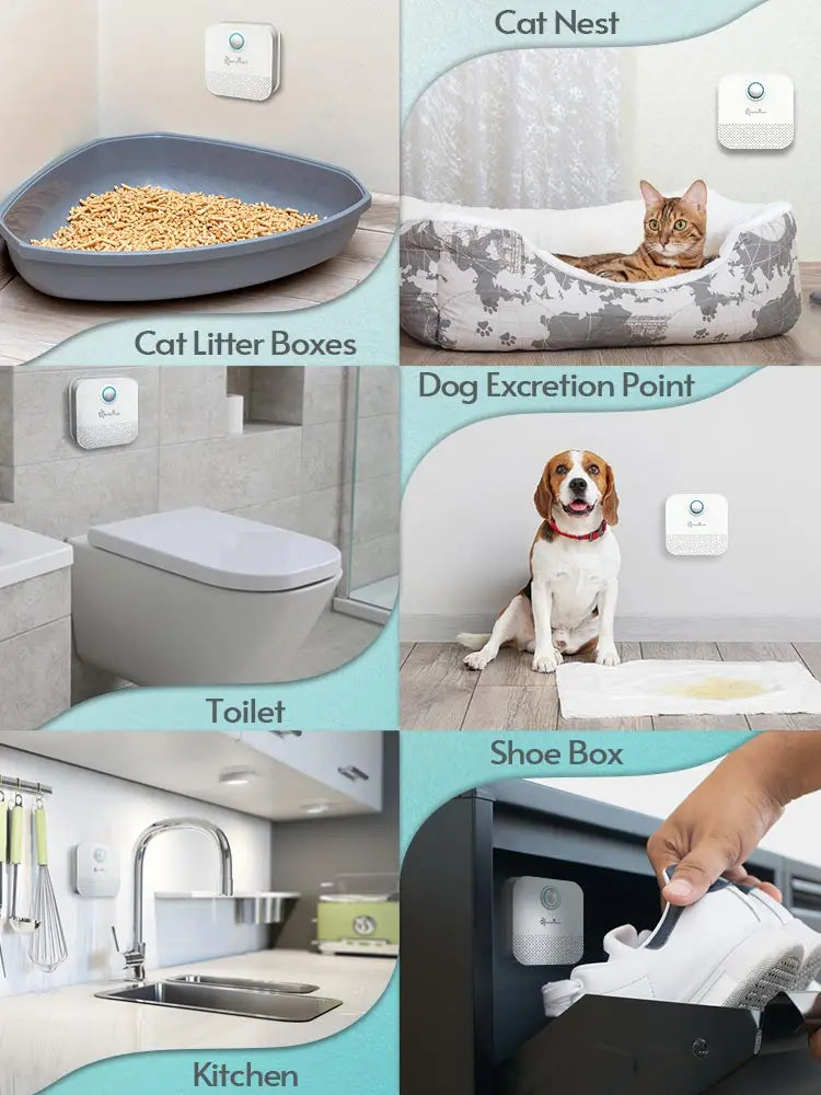 Downy Paws Pet Toilet Air Purifier