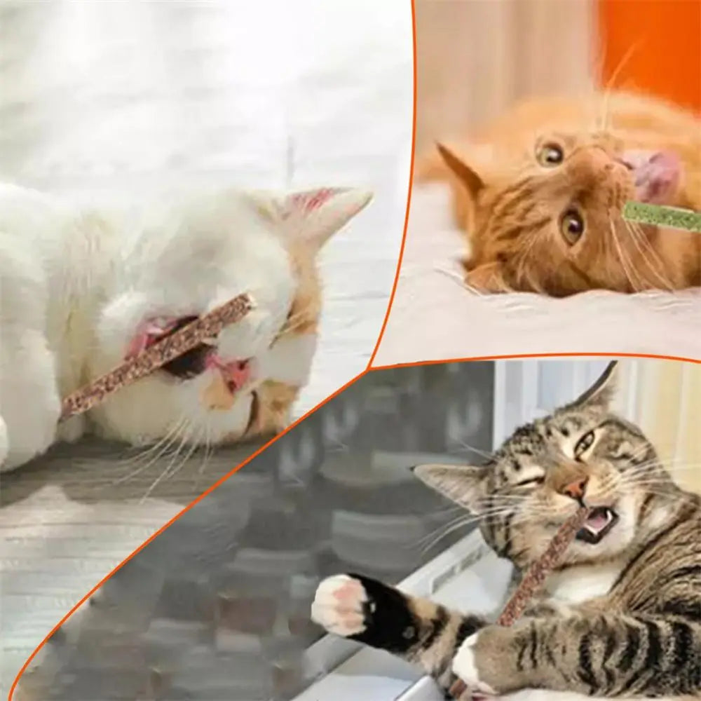 Teeth Cleaning Cat Sticks For Cats Of All Ages