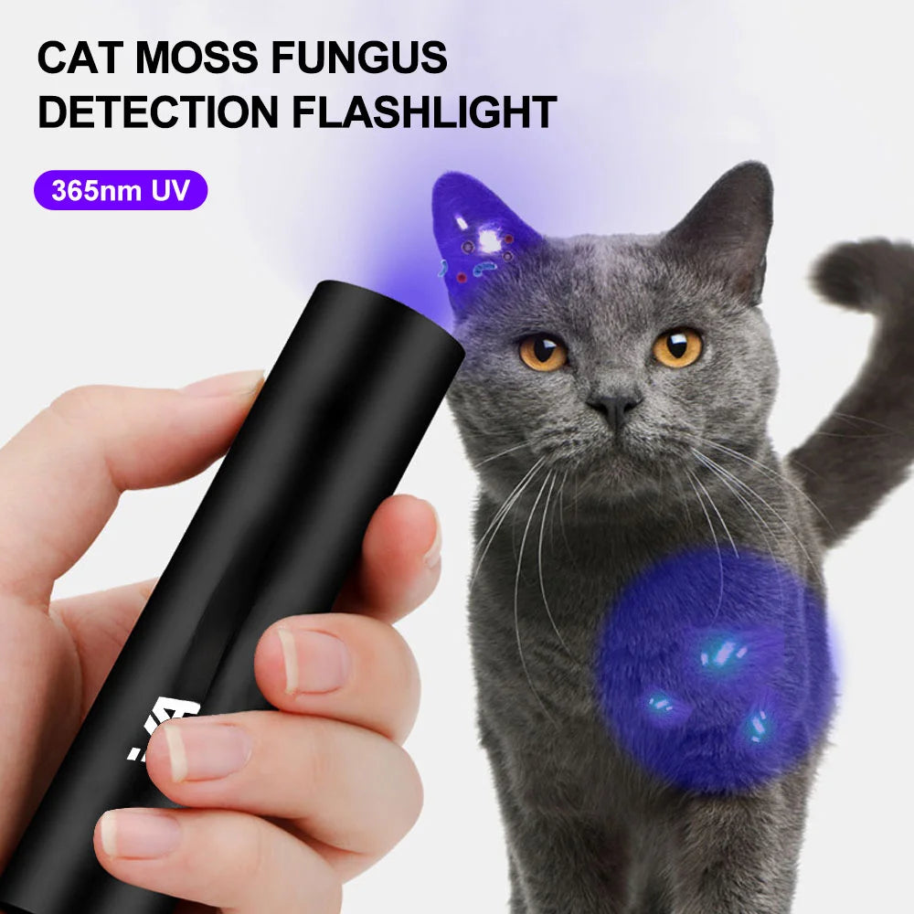 Flashlight Ultraviolet Lamp For Pets