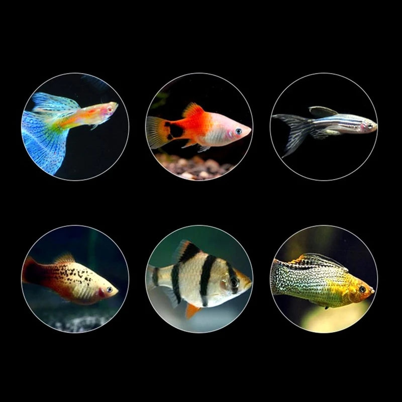 Aquarium Fish Food 250ml 40g 100g Other 1 Fish Feeders Fish Tanks
