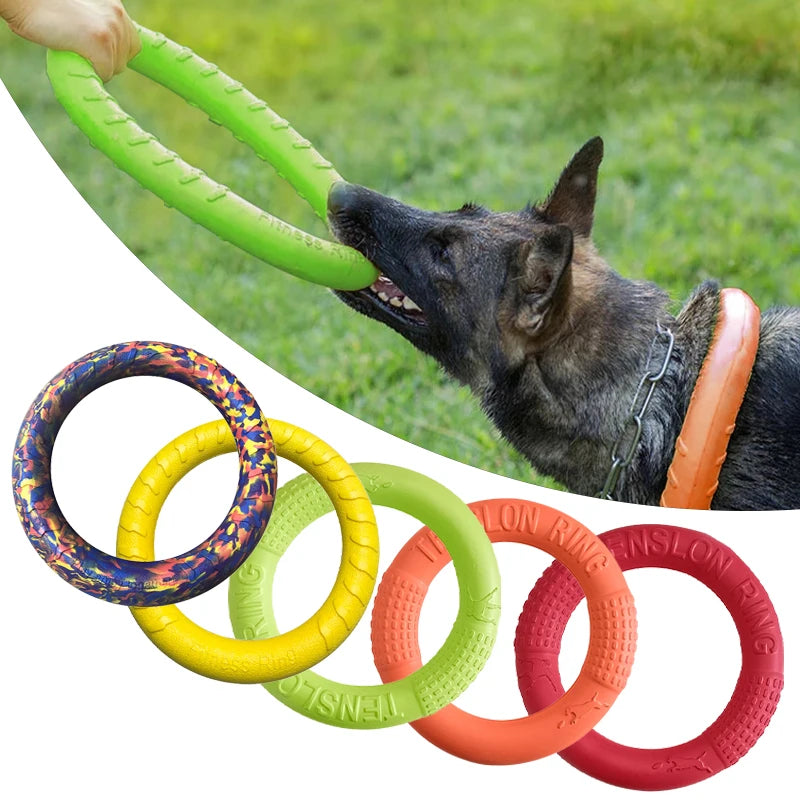 Dogs Floating Bite Ring Toy