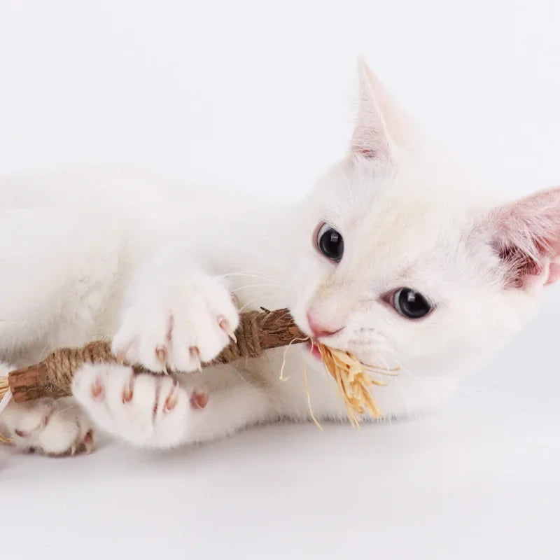 Pet Snacks Sticks Natural Stuff with Catnip for Kitten