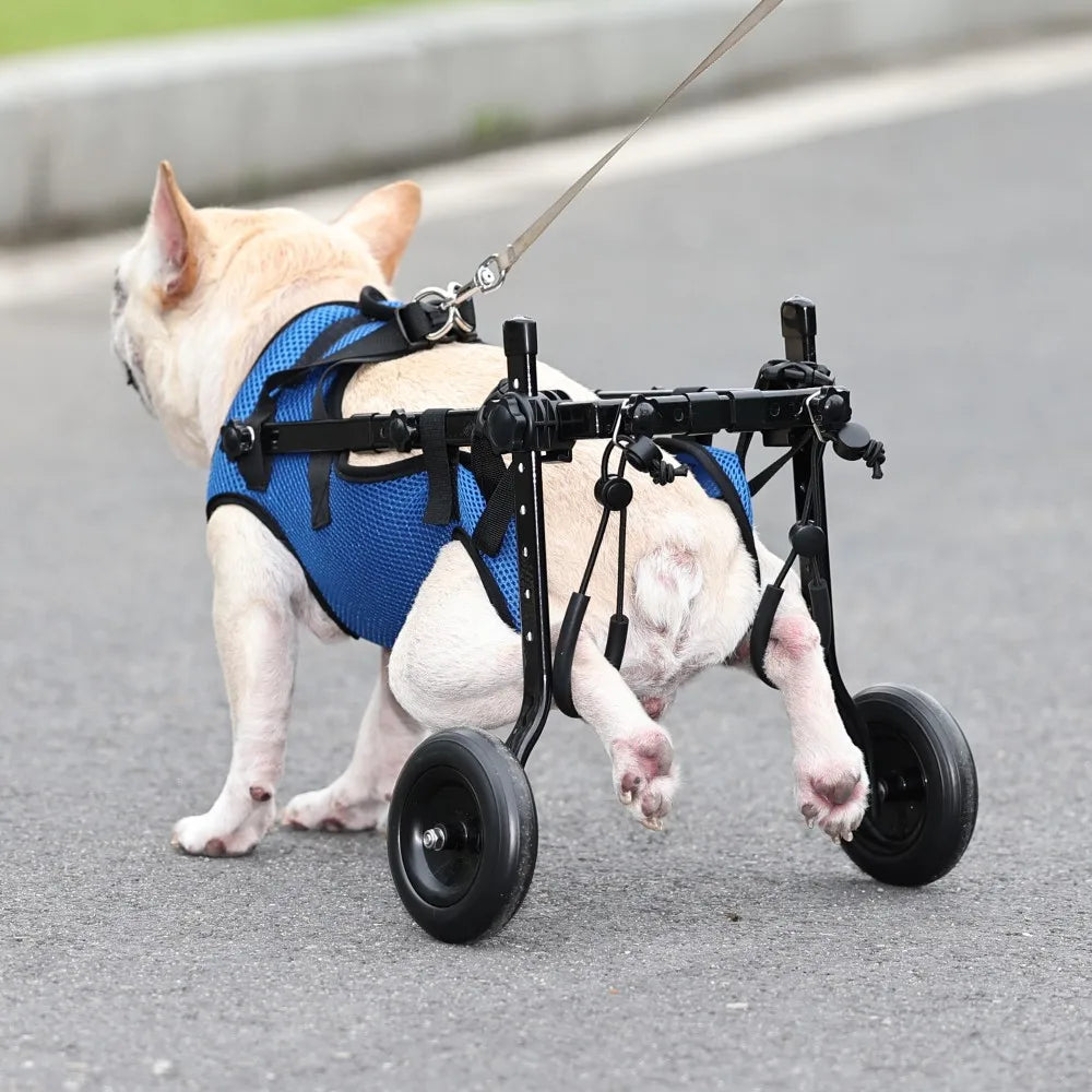 Wheelchair For Cat