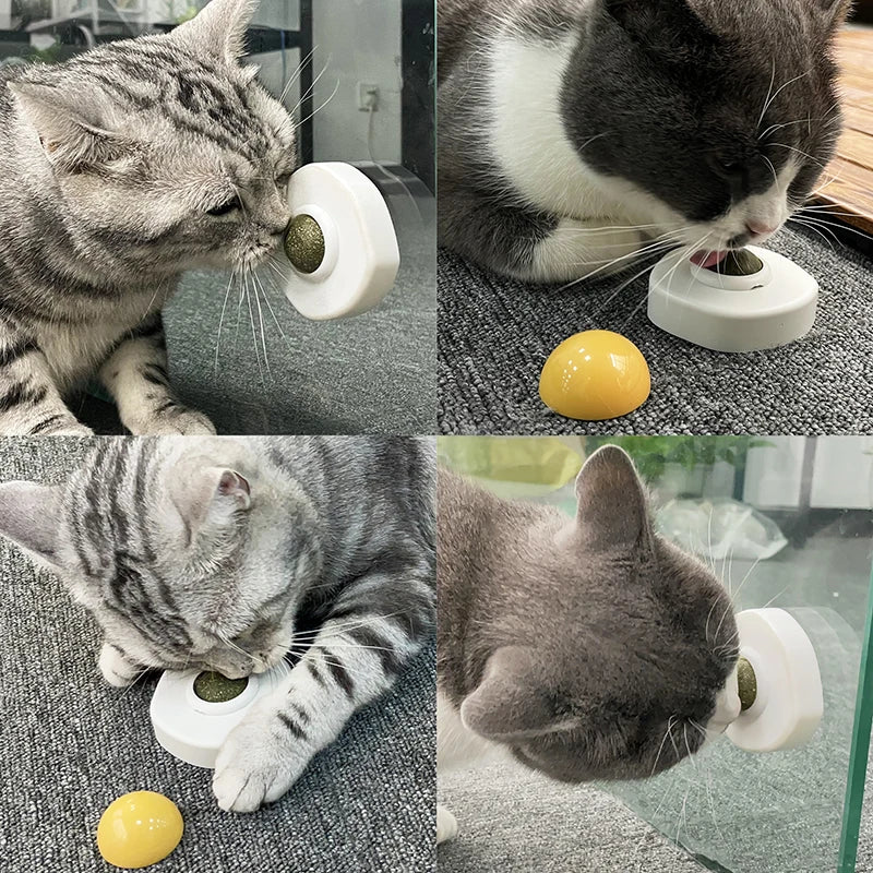 Cleans Mouth Promotes Digestion Kitten Accessories