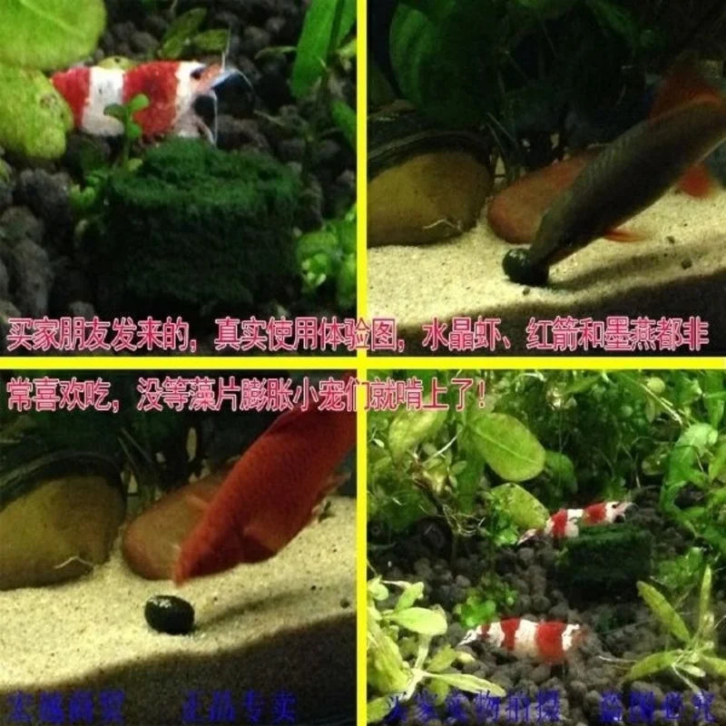 Red Shrimp Fish Food Tablets