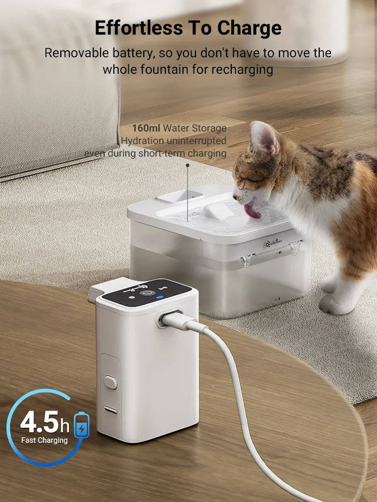 Battery Operated Automatic Pet Water Drinker