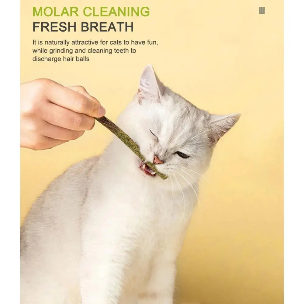 Teeth Cleaning Cat Sticks For Cats Of All Ages