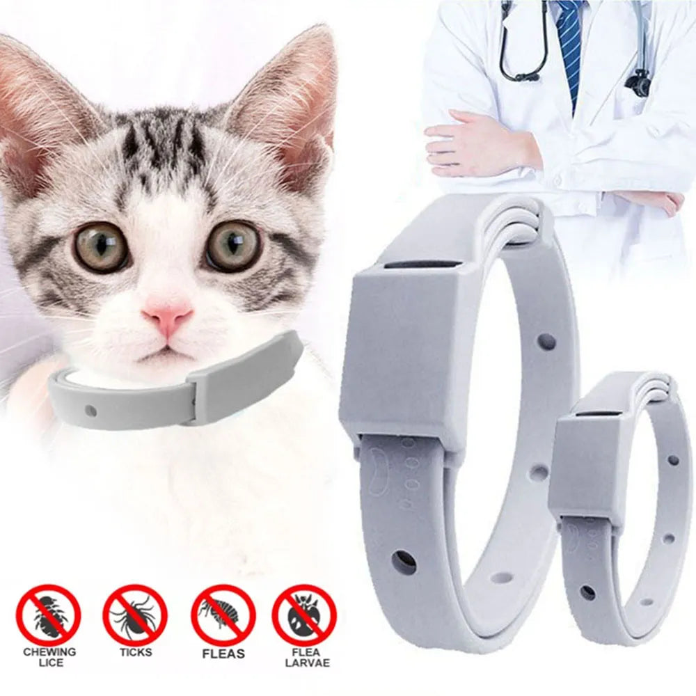 Anti Flea Tick Collar For Cat Small Dog Antiparasitic
