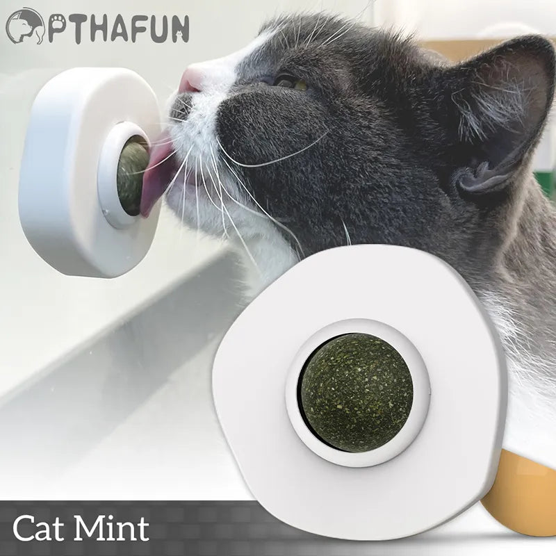 Cleans Mouth Promotes Digestion Kitten Accessories