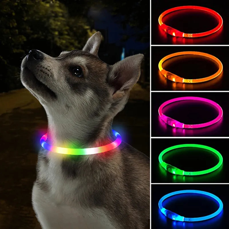 Buy LED Collar For Dogs For Biterbite