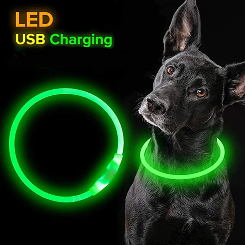 Buy LED Collar For Dogs For Biterbite